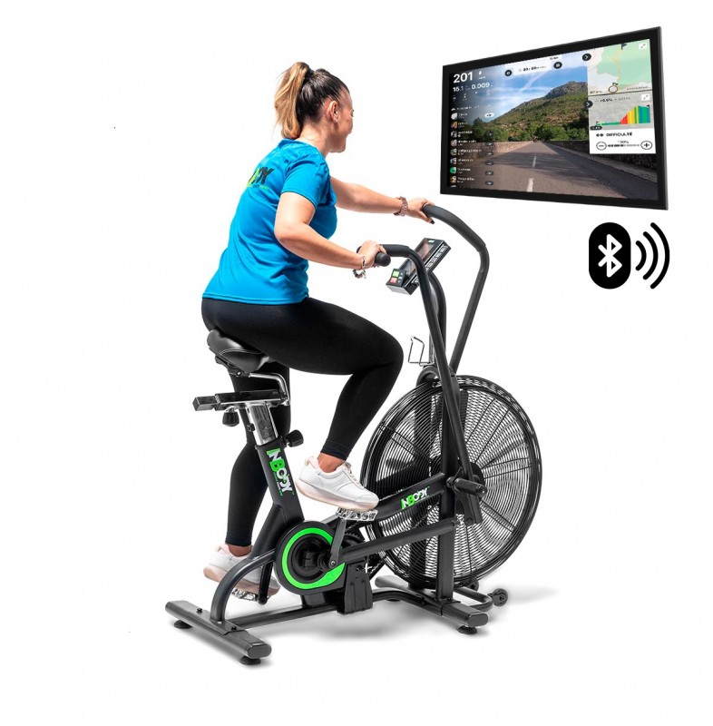 Valor Fitness Air Fan Bike